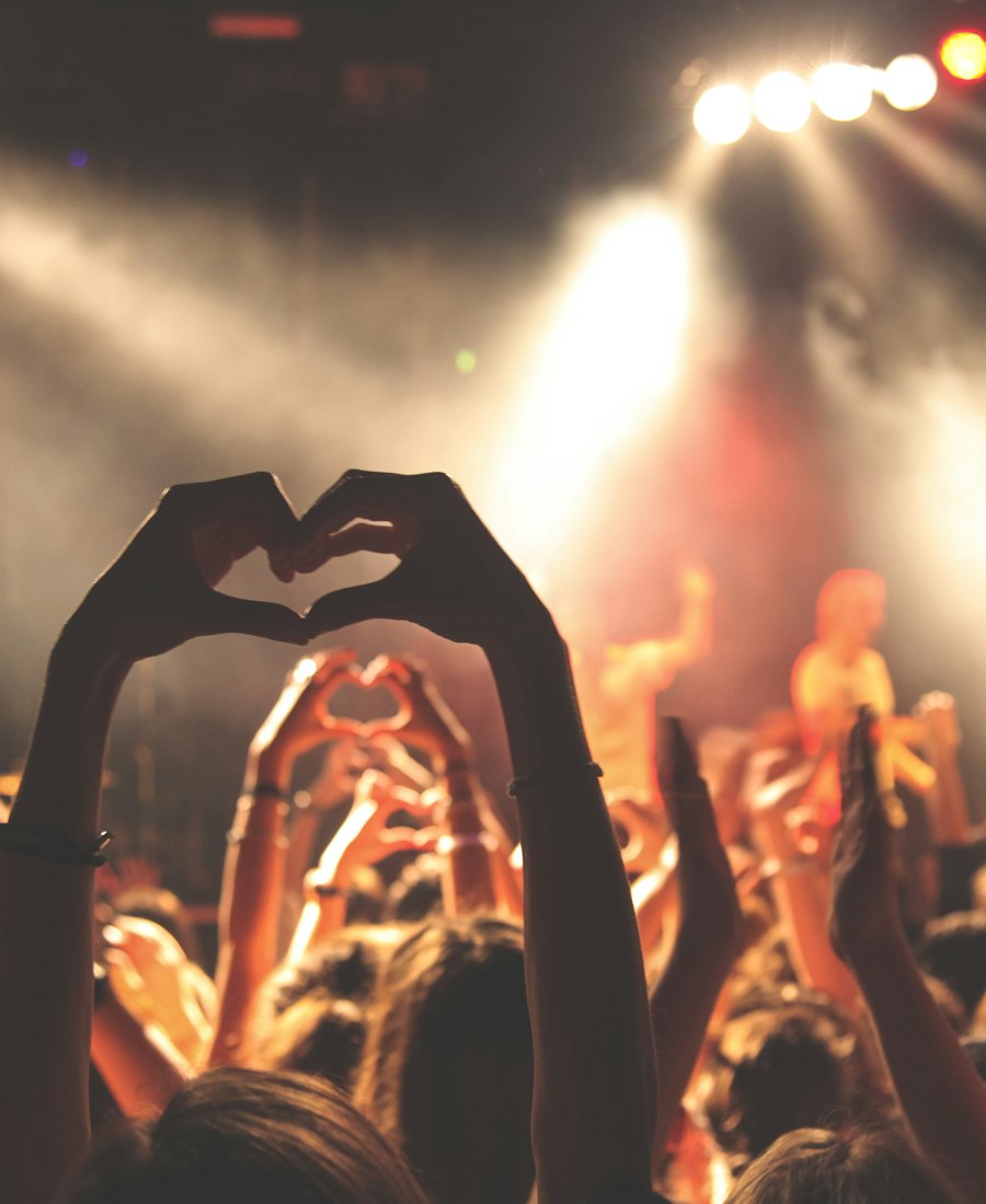 Fans making heart shapes with their hands at a gig